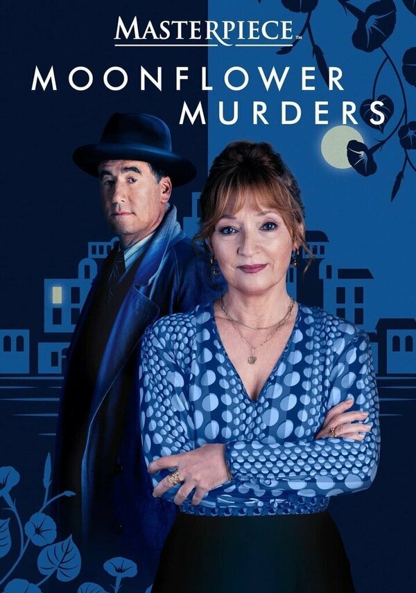  Совы охотятся ночью 